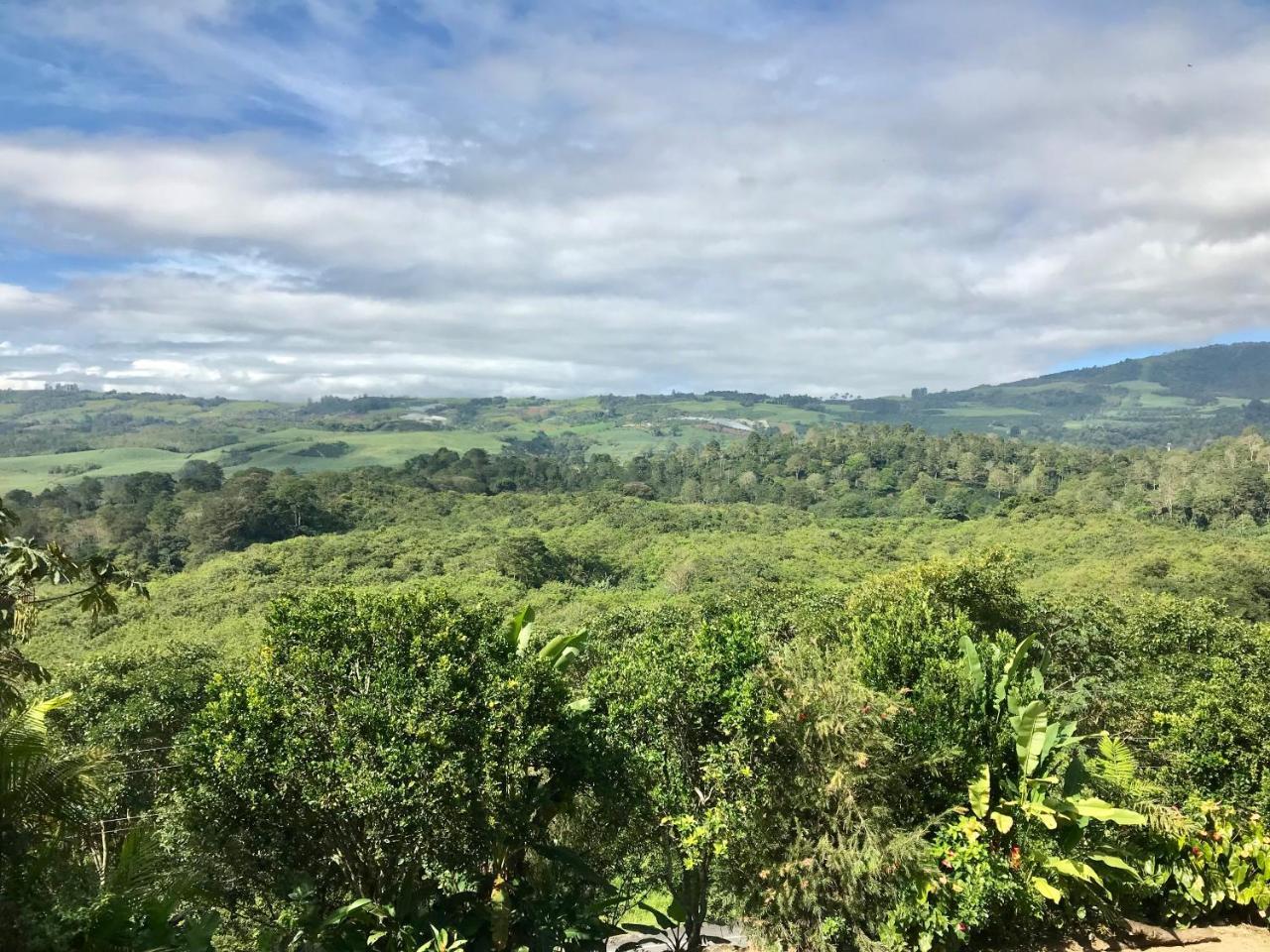 Ladera Hotel Turrialba Exterior photo
